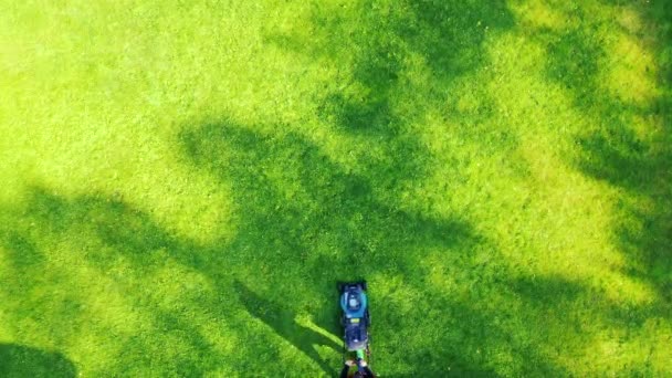 Άνθρωπος Κόβει Γρασίδι Κουρεύοντας Γκαζόν Αεροφωτογραφία Άνθρωπος Χλοοκοπτική Μηχανή Πράσινο — Αρχείο Βίντεο