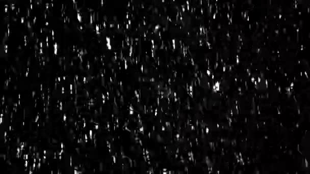 Snow Flakes Falling Night Winter Snow Falling Snow Isolated Black — Stock Video