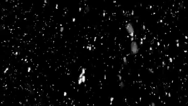 Płatki Śniegu Spadające Nocy Zimowy Śnieg Spadający Śnieg Odizolowany Czarnym — Wideo stockowe