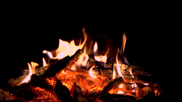 Cheminée Pleine Bois Vraies Flammes Provenant Combustion Billes Fond Cheminée — Video