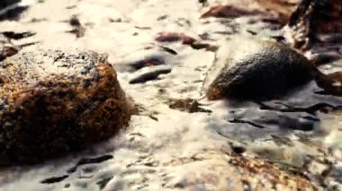 Renkli taşlarla dağ deresini kapatın. Düz taşlarla akan nehir. Farklı taşlardan akan kaynak suyu.