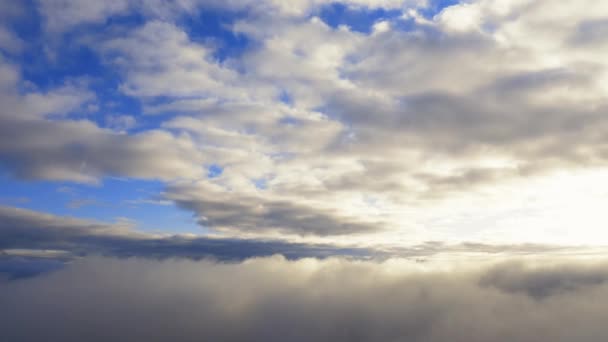 Légi Rálátás Felhőkből Égre Mozgásban Légi Kilátás Fehér Felhők Kék — Stock videók