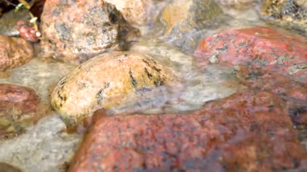 Close Uitzicht Bergstroom Met Kleurrijke Stenen Stromende Rivier Met Gladde — Stockvideo