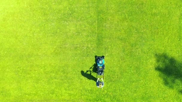 Flickan Klipper Gräsmattan Klippa Gräsmattor Flygfoto Vacker Kvinna Gräsklippare Grönt — Stockvideo