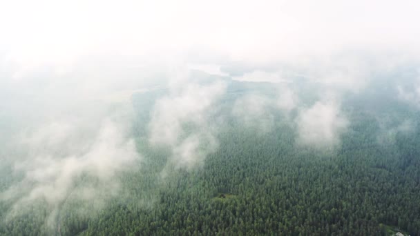 Vista Aérea Nubes Que Corren Sobre Bosque Verde Las Nubes — Vídeos de Stock