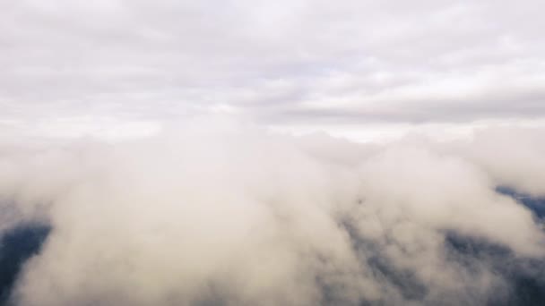Αεροφωτογραφία Τρέχει Σύννεφα Πάνω Από Πράσινο Δάσος Time Lapse White — Αρχείο Βίντεο