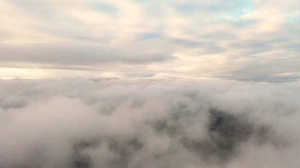 緑の森の上で雲を実行している空中ビュー 日の出や日没の間に白い雲を消す時間 空中展望雲景 雲の質感 パノラマビュー 高速再生 — ストック動画