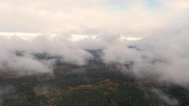 Luftbild Das Wolken Über Grünem Wald Laufen Lässt Zeitraffer Weiße — Stockvideo
