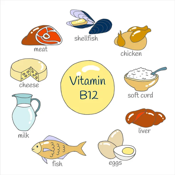 Vector Set Hand Drawn Foods Highest Vitamin B12 — Stock Vector