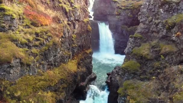 アイスランドのKolugljufur渓谷のインテリアの空中ビュー 人気の旅行先 象徴的なランドマーク アイスランド島の周りの旅行パス スローモーション ロイヤリティフリーのストック動画