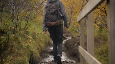 Sırt çantalı bir kadın sonbahar manzarasında ormanda yürüyor. İzlanda