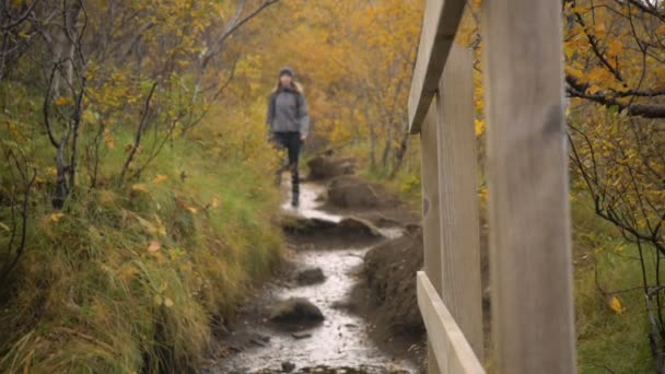 バックパックを身に着けている女性は森の道を歩く 秋のアイスランド 動画クリップ