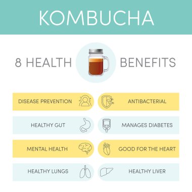 8 sağlık yararları kombucha çayı, vektör Infographic