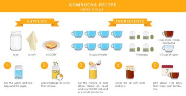 Kombucha çay recepie, vektör Infographic