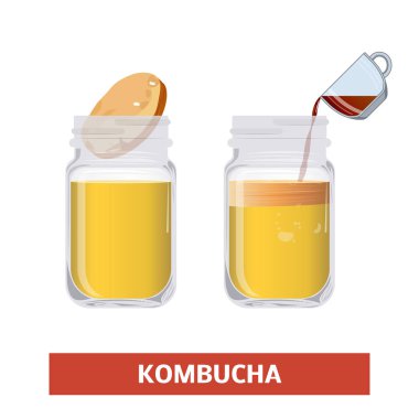 Vektör simgesi bir cam kavanoza Kombucha çayı