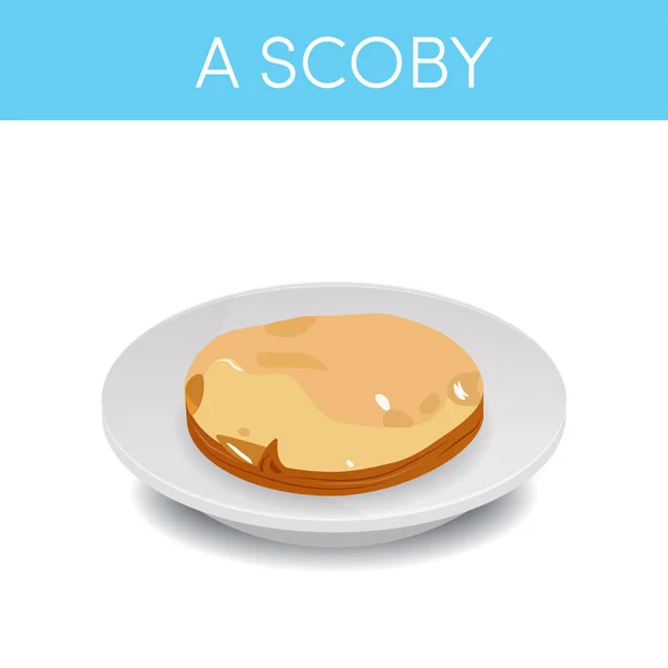 Scoby 红茶菌在碟形上的培养 矢量插画 — 图库矢量图片