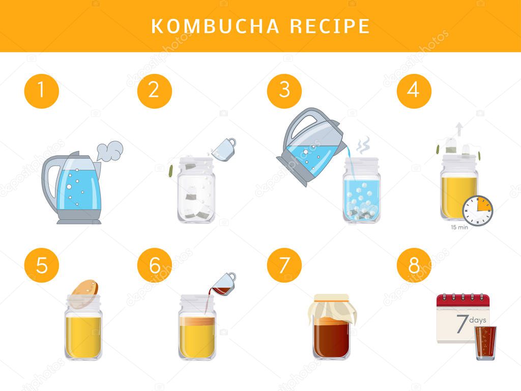 Kombucha tea recepie, vector infographic