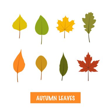 Beyaz arka planda basit düz stil vektör sonbahar dizi yaprak