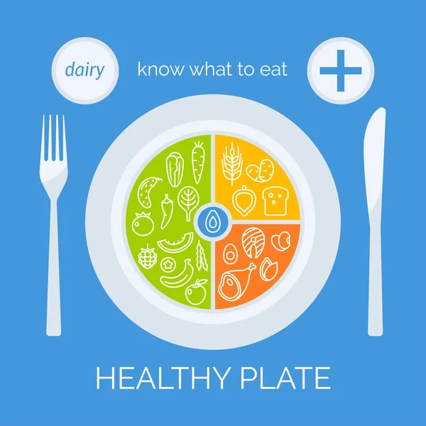 Healthy Plate Concept Vector Illustration Balanced Meal — Stock Vector