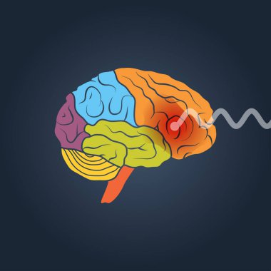 Bir insan beyni profil görünümü. Beyin aktivitesi vektör kavramı