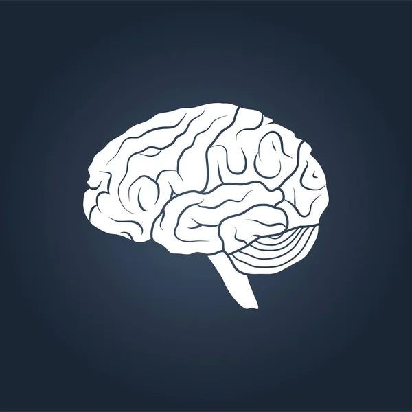 Profilansicht Eines Menschlichen Gehirns Einfache Vektorillustration — Stockvektor