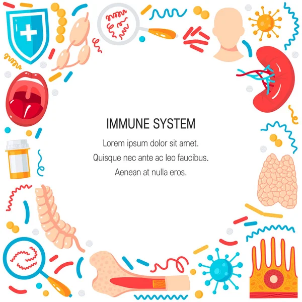 免疫系统向量概念 — 图库矢量图片