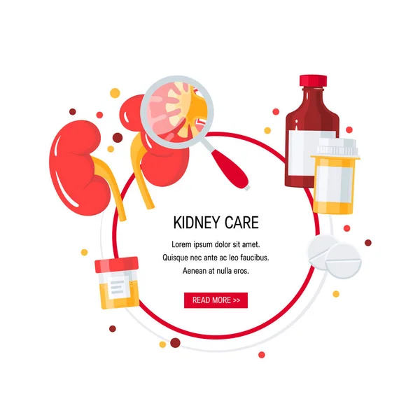 Kidney care vector set — Stock Vector