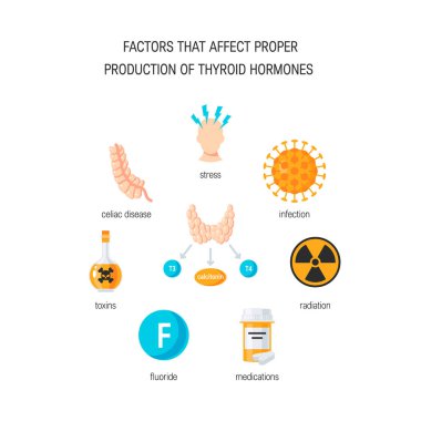 Thyroid hormones vector clipart