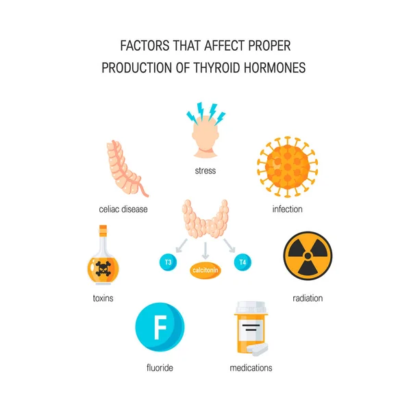 Вектор тиреоидных гормонов — стоковый вектор
