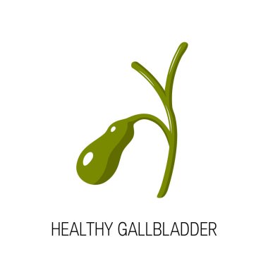 Healthy gallbladder concept, vector illustration clipart