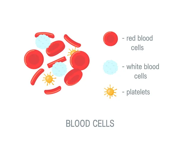 Composición del concepto de sangre, ilustración de vectores planos — Vector de stock