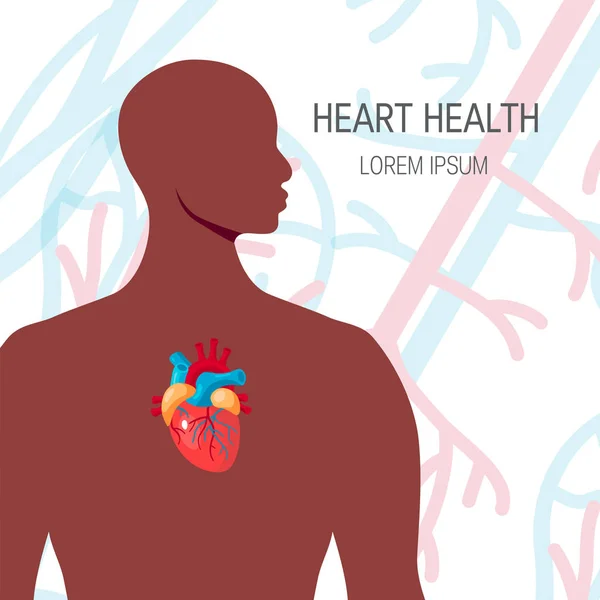 Herz im männlichen Körper, Vektor — Stockvektor
