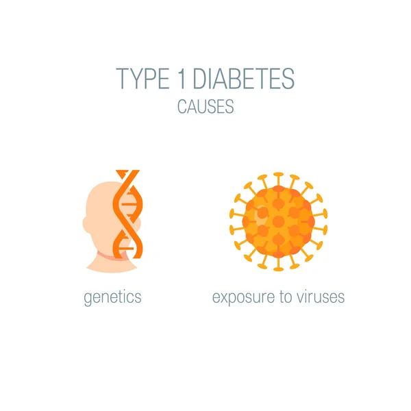 Diabetes type 1 causes in flat style, vector — Stock Vector