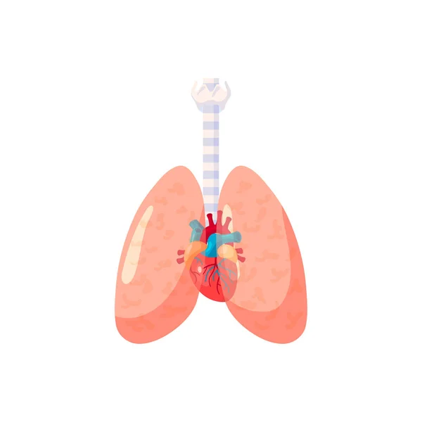 Icono de vector de pulmones humanos en estilo plano — Archivo Imágenes Vectoriales