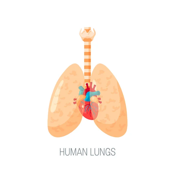 Icono de vector de pulmones humanos en estilo plano — Archivo Imágenes Vectoriales