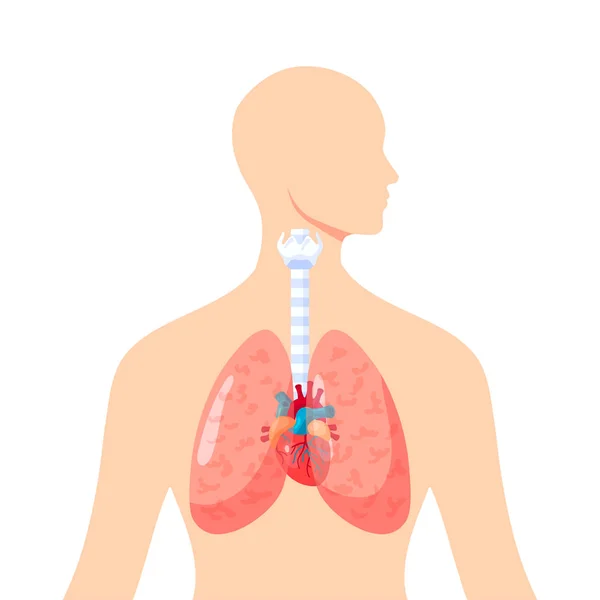 Icono de vector de pulmones humanos en estilo plano — Archivo Imágenes Vectoriales
