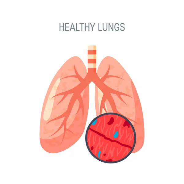 Icono de vector de pulmones saludables en estilo plano — Vector de stock