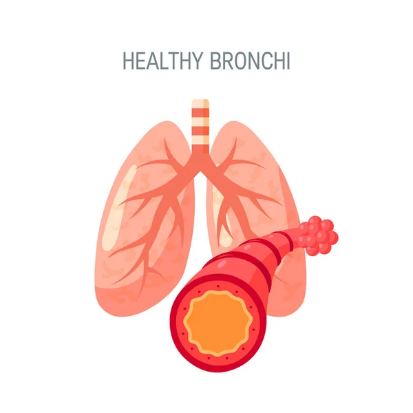 フラット スタイルの健康的な肺のベクトルのアイコン — ストックベクタ