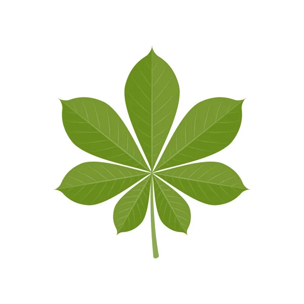 Πράσινο φύλλο καστανιάς σε επίπεδη στυλ — Διανυσματικό Αρχείο