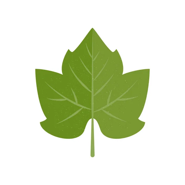 Πράσινο διανυσματικό φύλλο σταφυλιού σε επίπεδη στυλ — Διανυσματικό Αρχείο