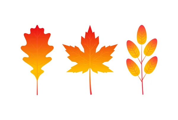 フラットなスタイルのカラフルな葉、アイコンセット — ストックベクタ