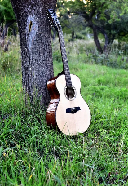 Gitara w pobliżu drzewa — Zdjęcie stockowe