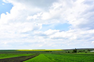 yeşil alan gökyüzü bulutlar