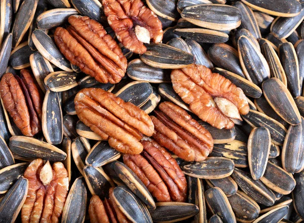 Pecan Nuts Sunflower Seeds Filled Frame Format — Stock Photo, Image