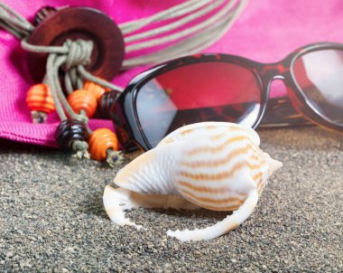 Güneş gözlüğü ve şapka ile güneş ışığı etkisi arka plan ile seashell Beach  