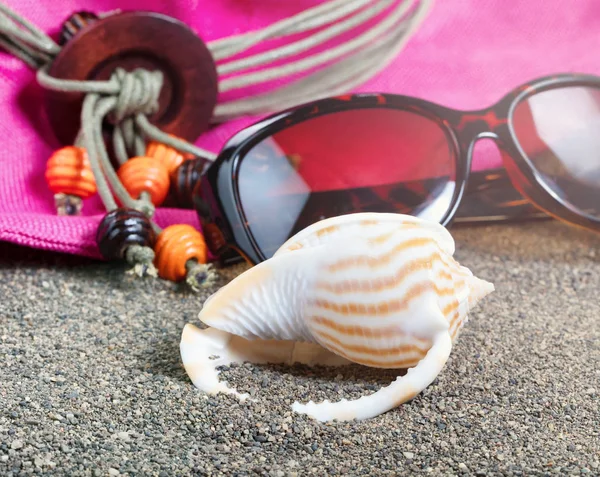 Coquille Plage Avec Lunettes Soleil Chapeau Arrière Plan Avec Effet — Photo