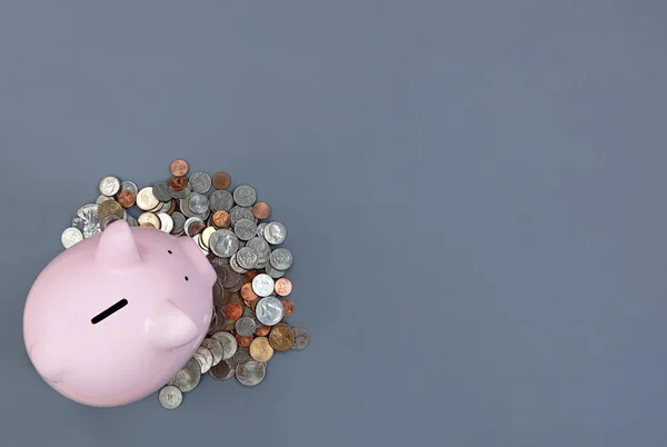 Piggy Bank Coins Gray Desktop Copy Space — Stock Photo, Image