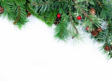 Beyaz arka plan üzerinde Noel ağacı yaprak dökmeyen dalları 