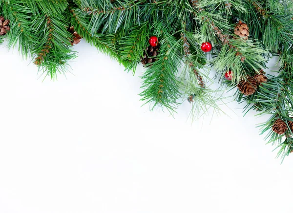Groenblijvende Takken Van Kerstboom Witte Achtergrond — Stockfoto