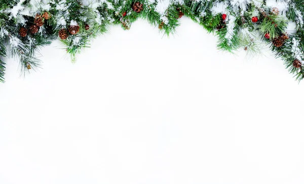 Snötäckta Jul Trädgrenar Evergreen Som Placeras Ovanpå Vit Bakgrund — Stockfoto